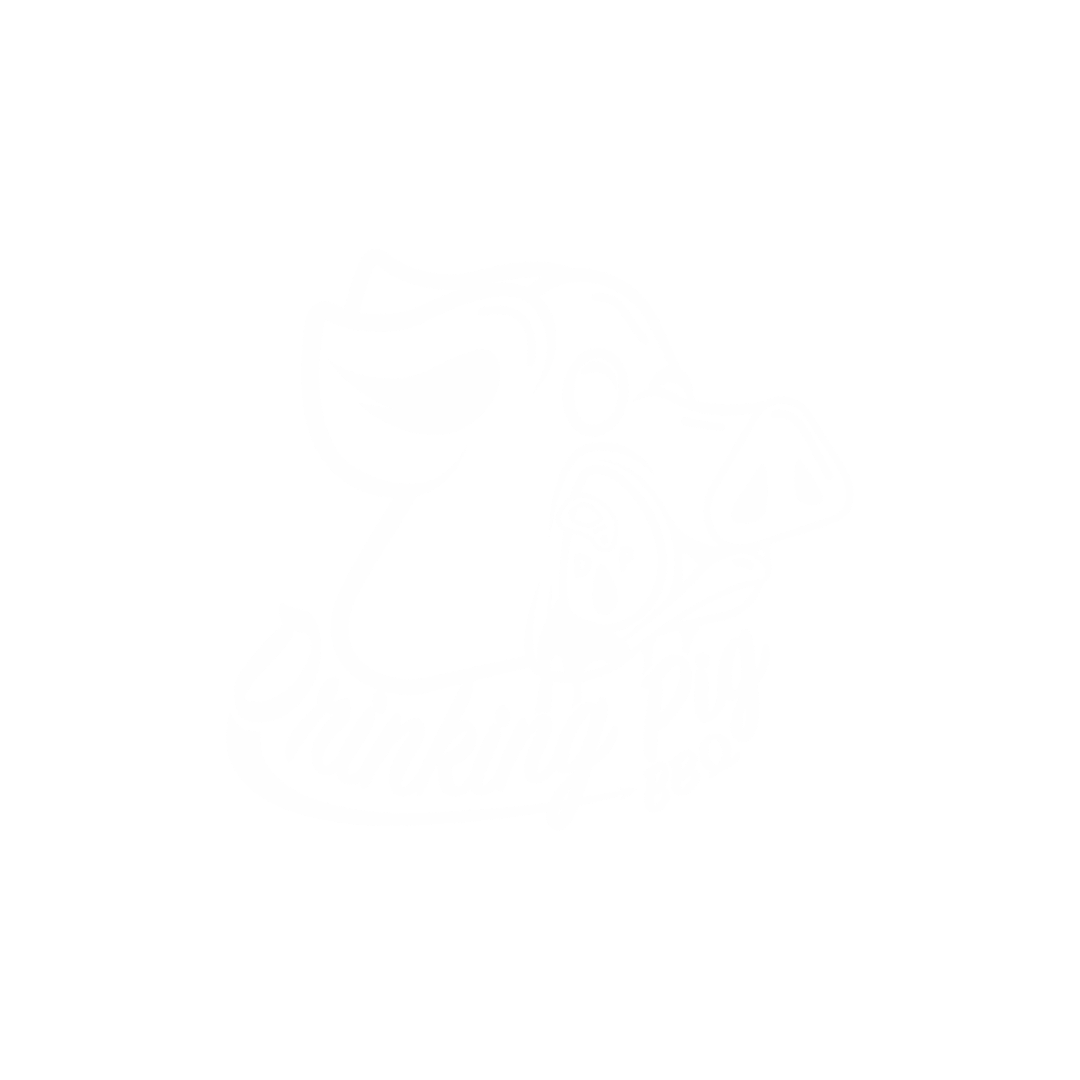 Drinking pig