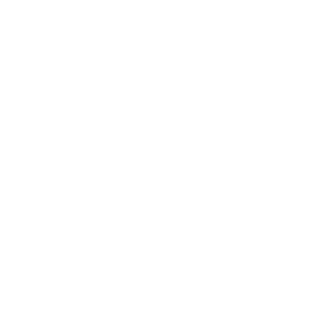 Piginc new white