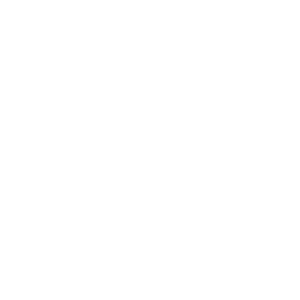 Taurus new white